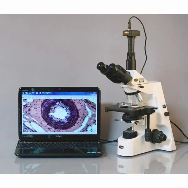 AmScope T660 Series Professional Biological Trinocular Compound Microscope with 20W Halogen Kohler Illumination, 3D Mechanical Stage and Optional Digital Camera