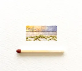 Beach grass