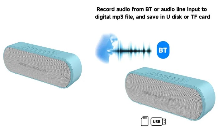 BT Audio Recorder