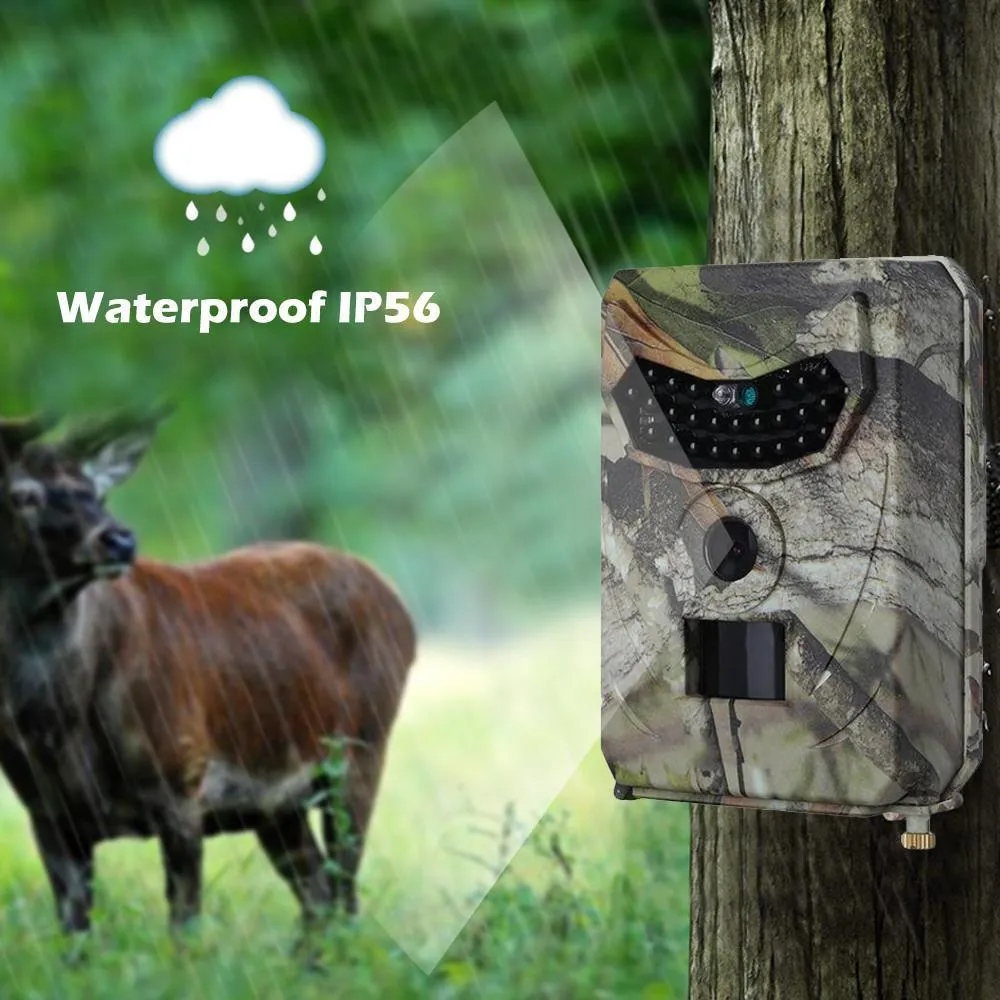 Clear Vision Hunting Trail Camera