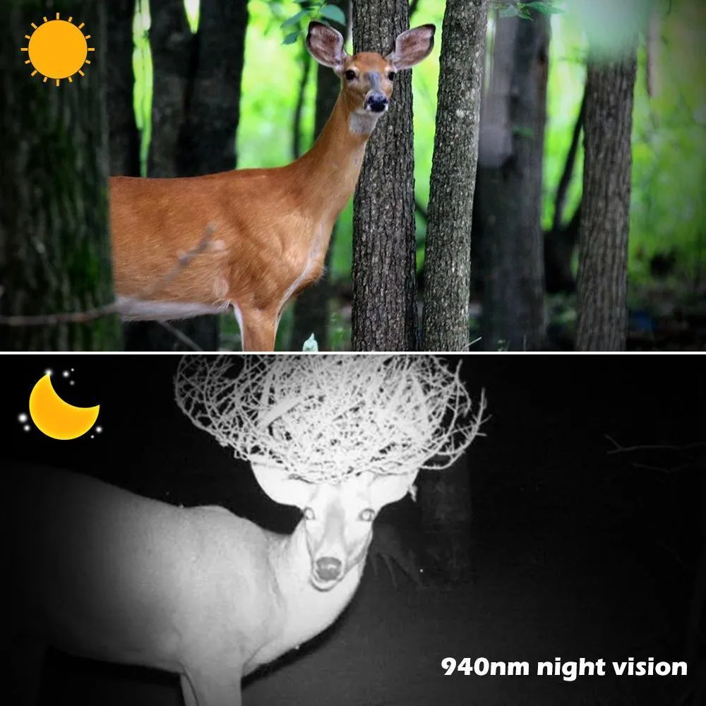 Clear Vision Hunting Trail Camera