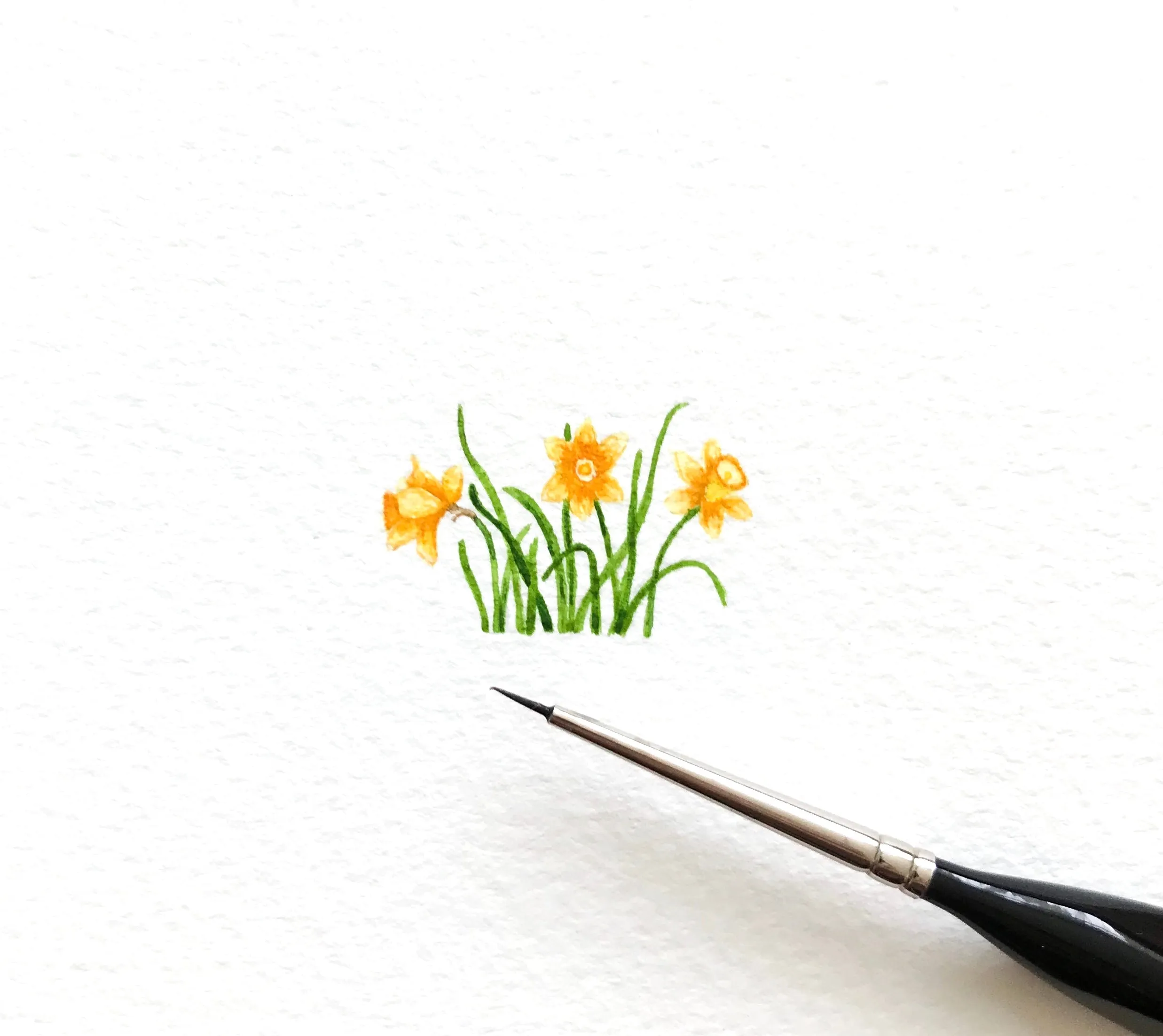 Dancing daffodils