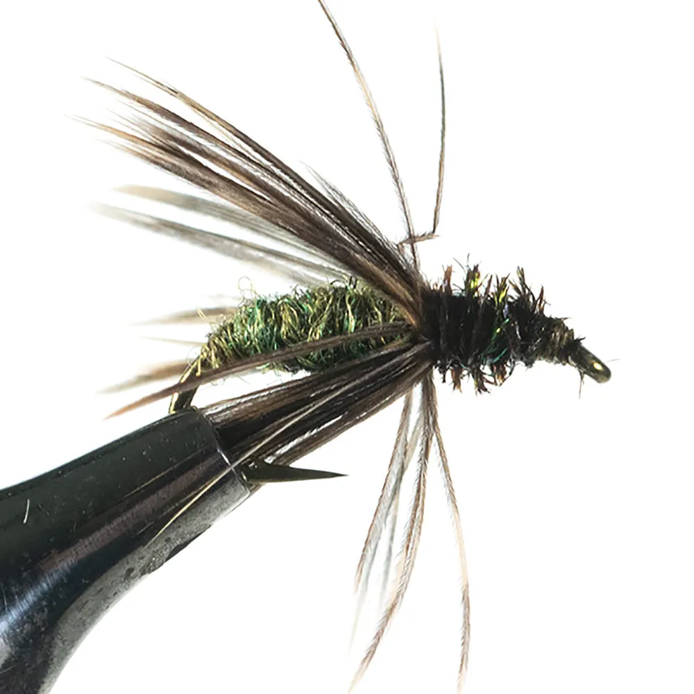 Murray's Magic Caddis Pupa