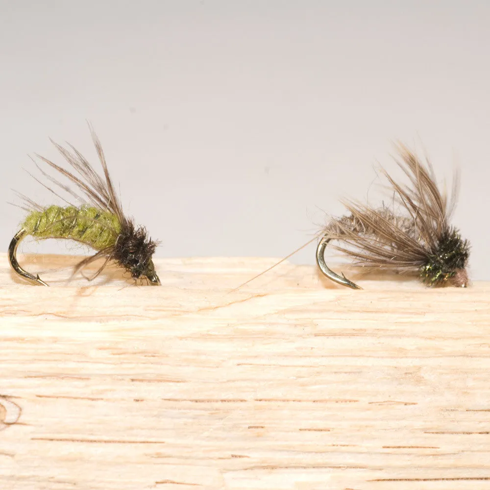 Murray's Magic Caddis Pupa