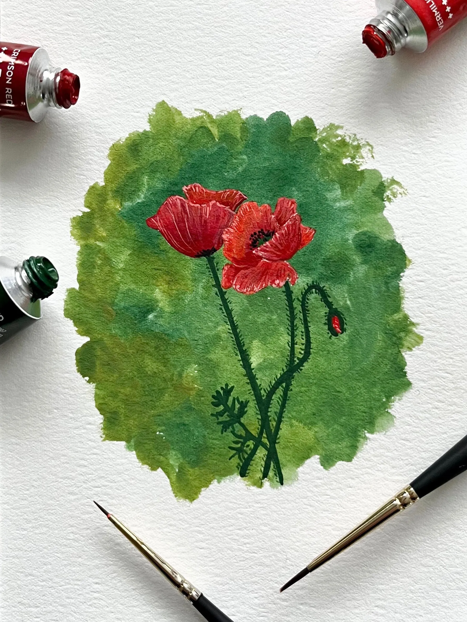Poppies in gouache