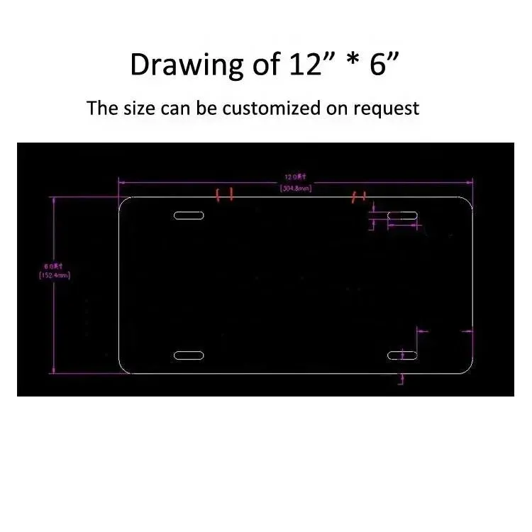 Privacy Plate Shield