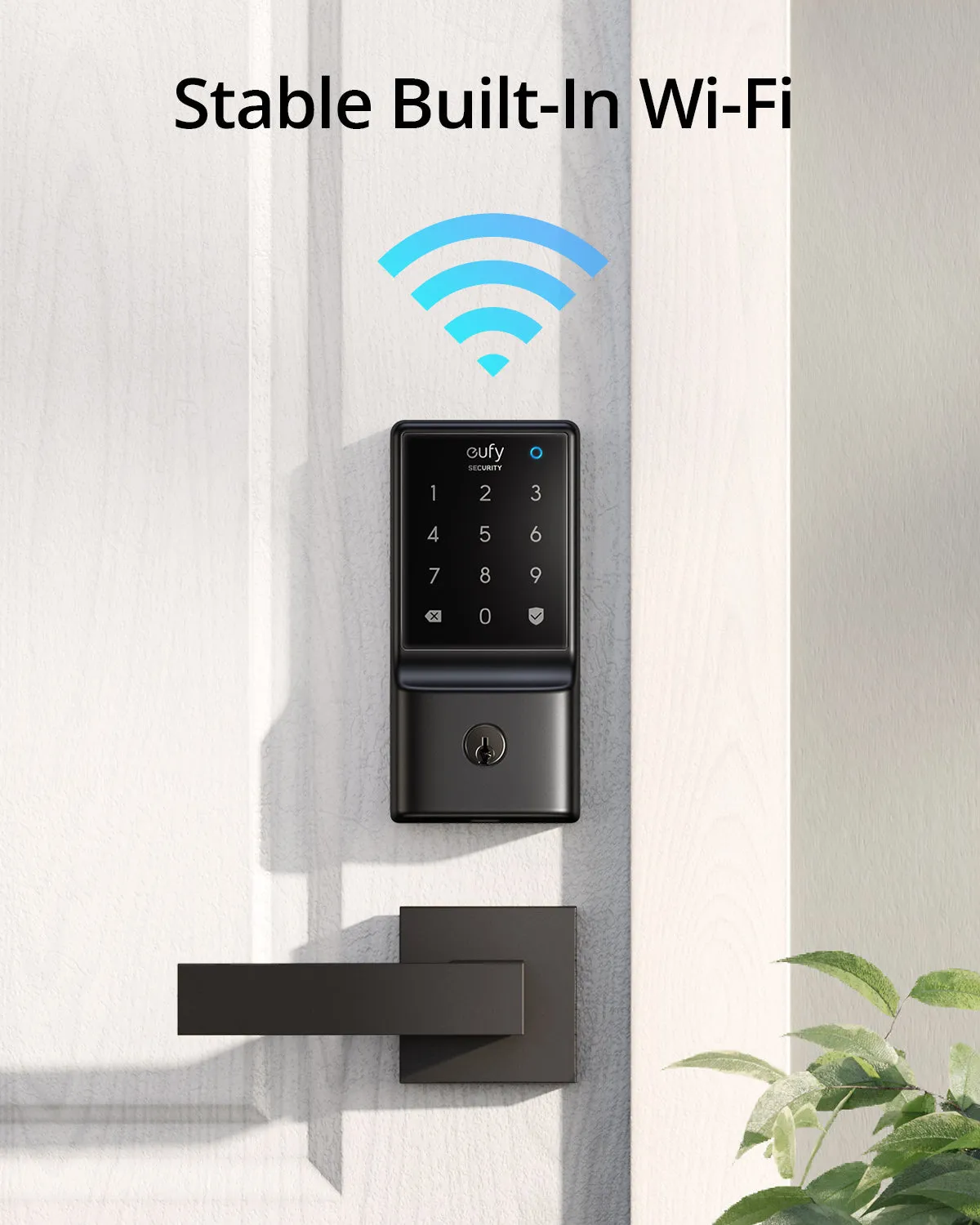 Smart Lock C210