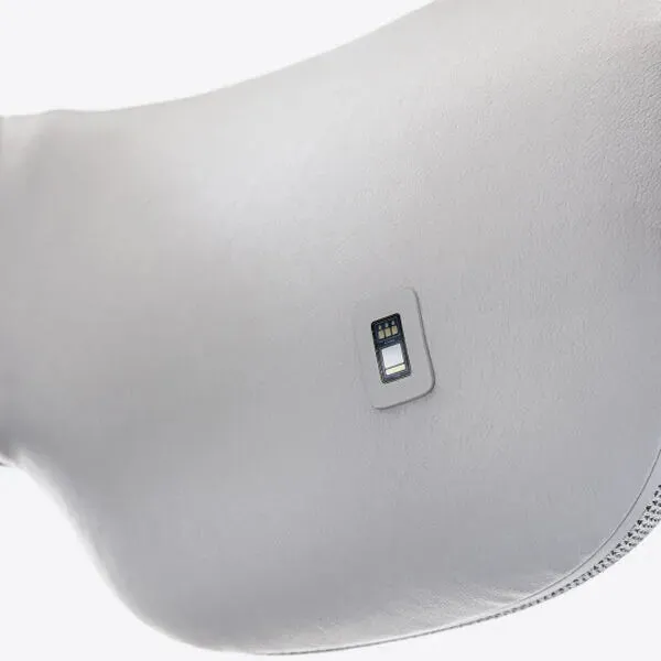 SmartGoggles