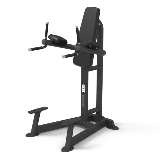 Spirit CSF-VKRD VERTICAL LEG RAISE/DIP