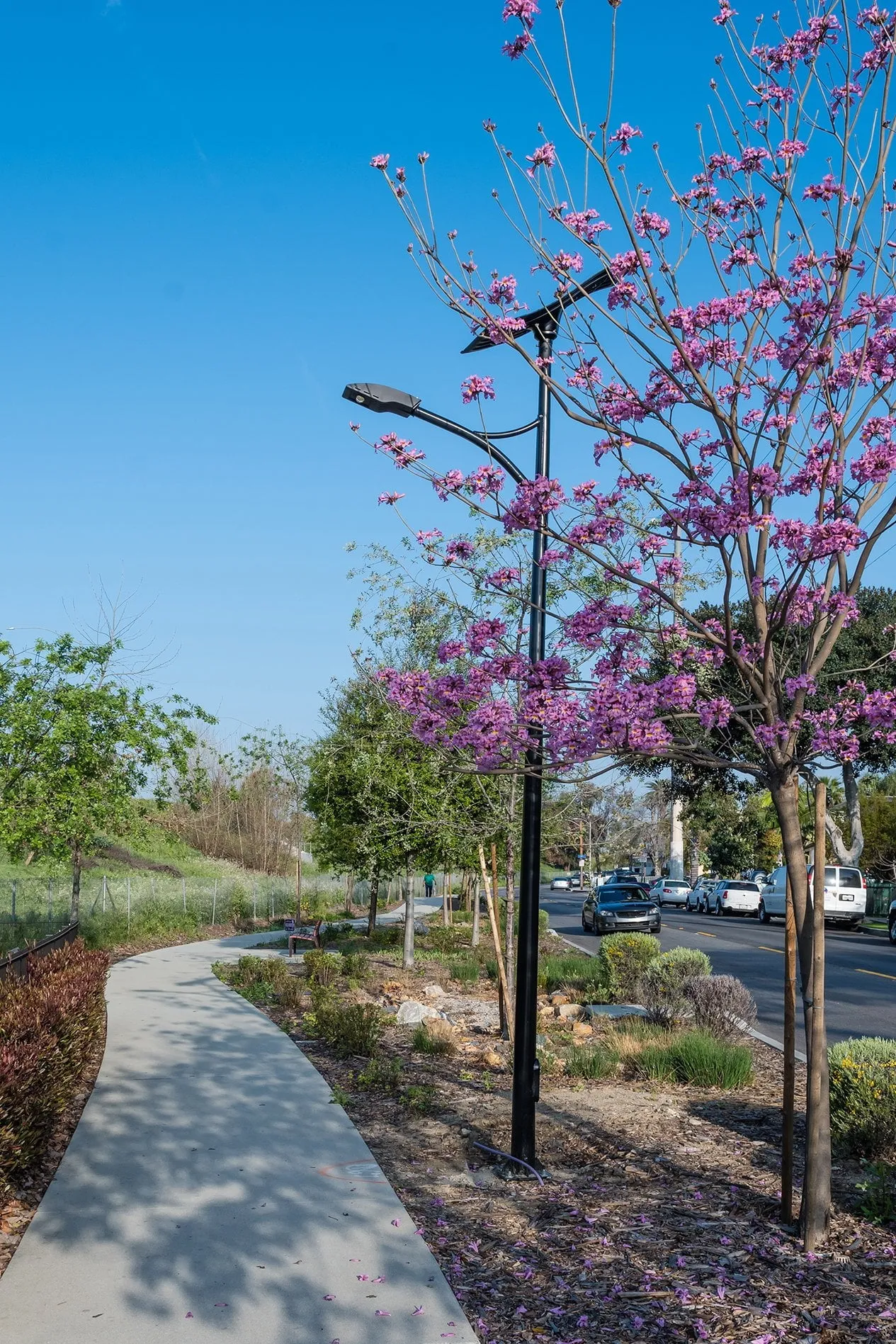ST-Series Solar Street Lights