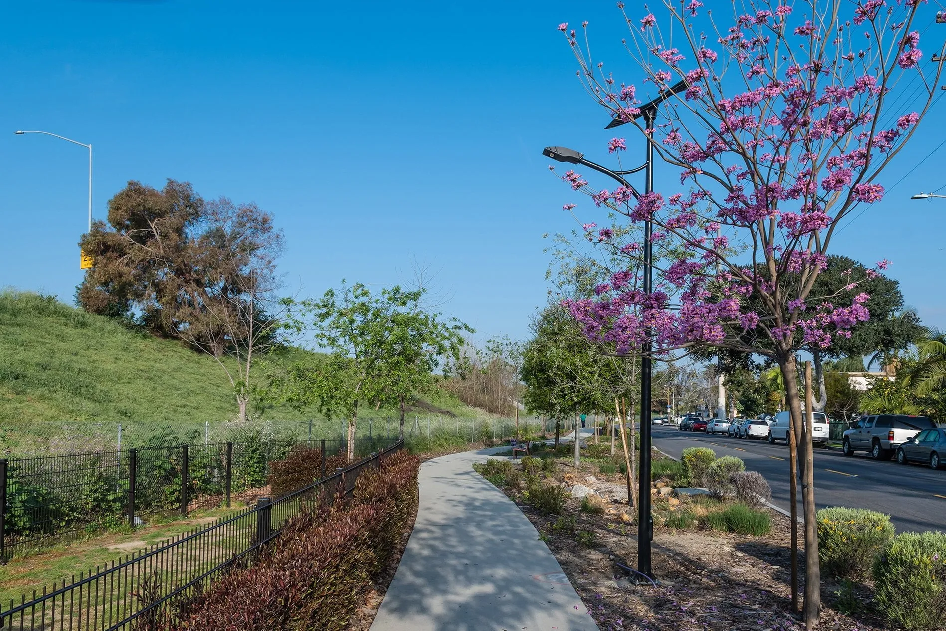 ST-Series Solar Street Lights