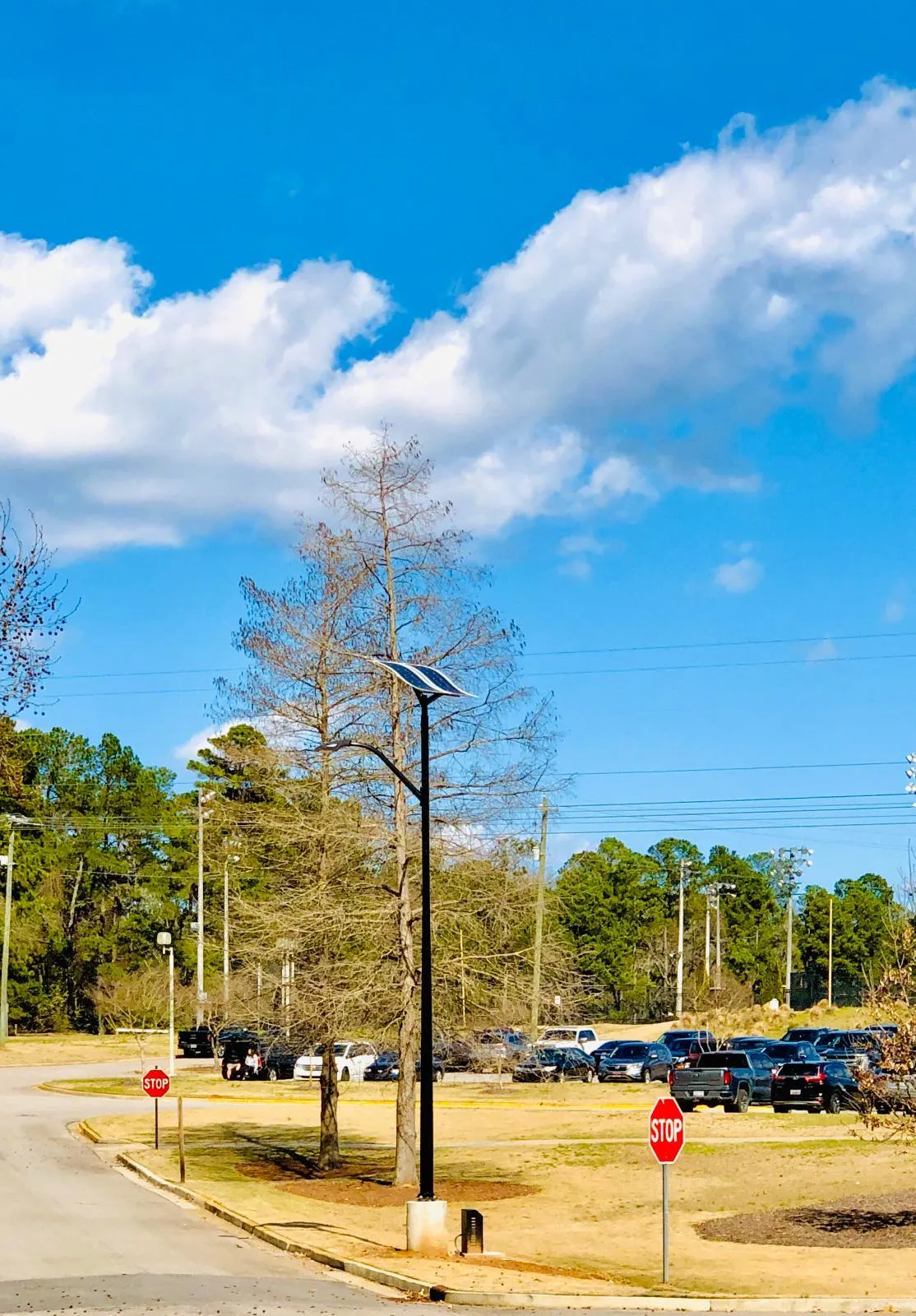 ST-Series Solar Street Lights