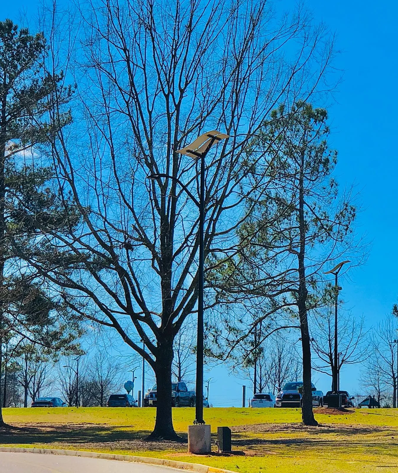 ST-Series Solar Street Lights