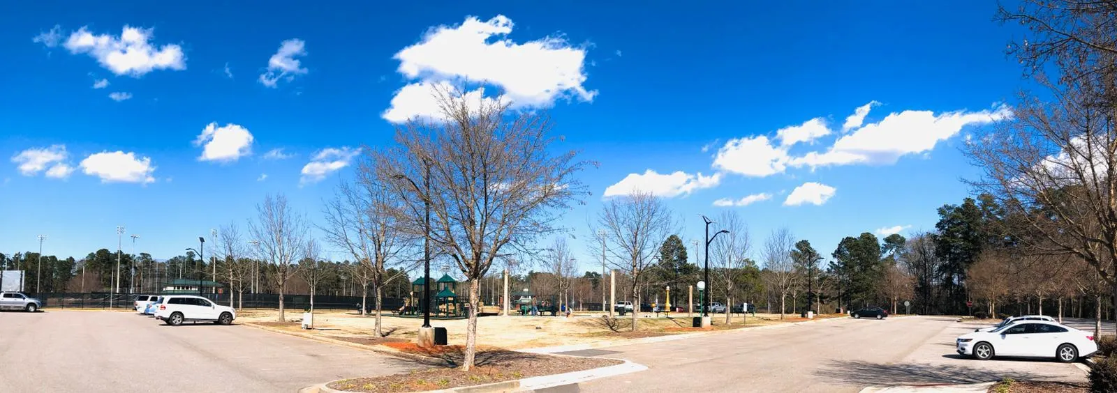 ST-Series Solar Street Lights