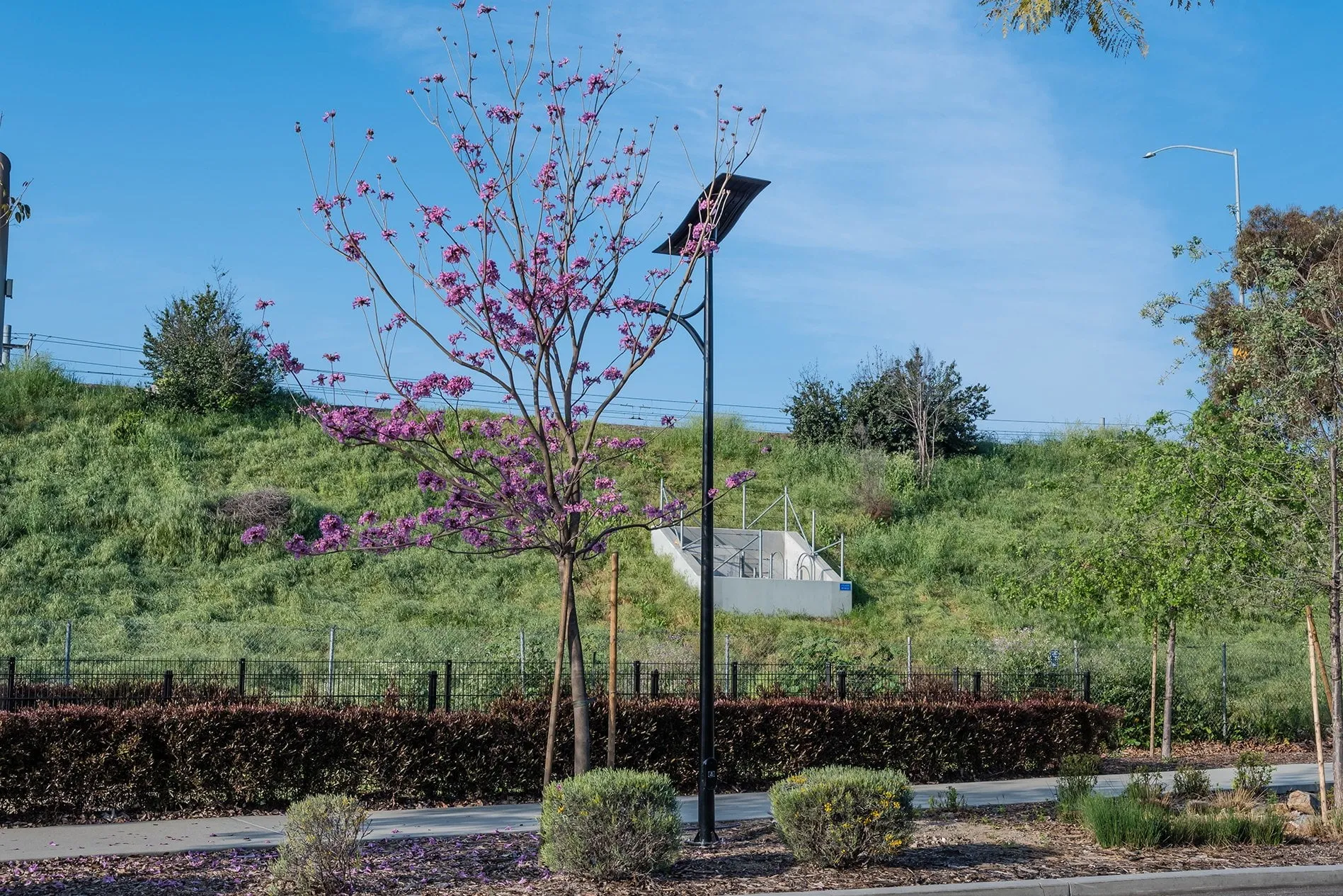 ST-Series Solar Street Lights