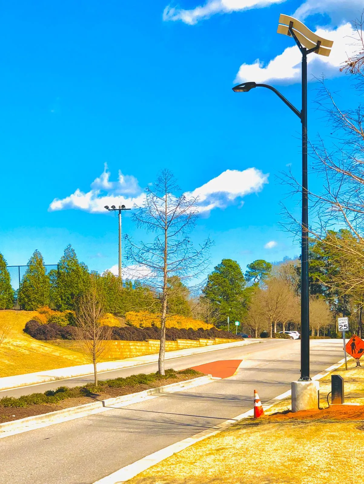 ST-Series Solar Street Lights