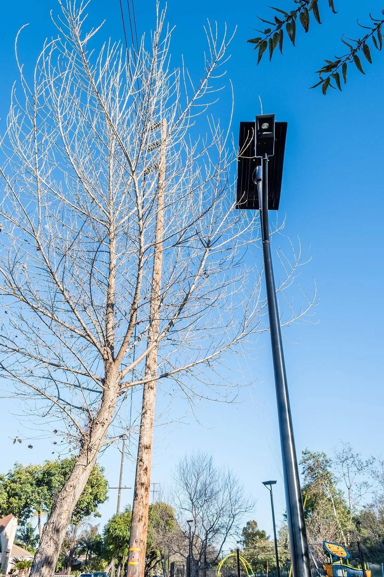 ST-Series Solar Street Lights